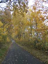 Naturbild1 #1