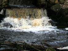 naturbild4 #4