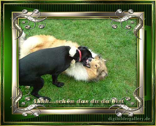 Tierliebe