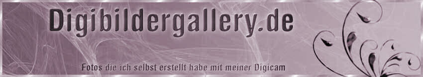 digibildergallery und Fotos